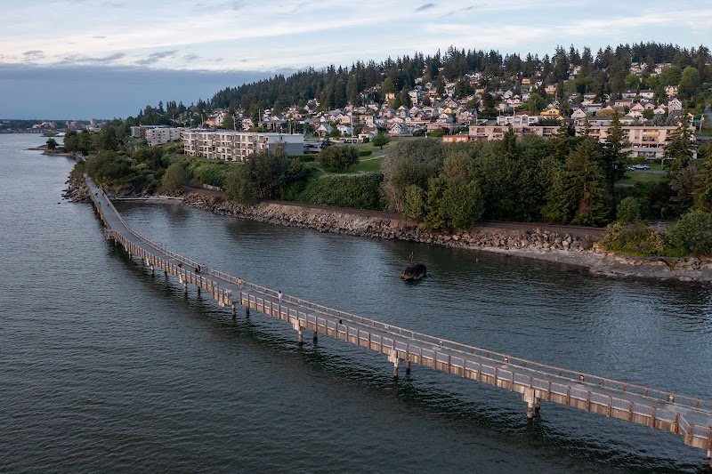 A long wooden pier extending into a body of water, with a hilly residential area with houses and trees in the background.