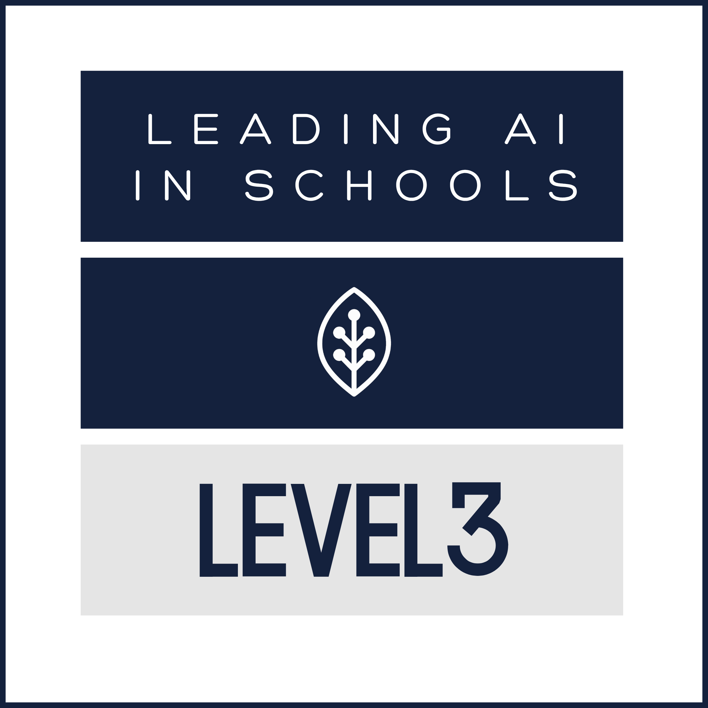 Level 3: Leading AI in Schools