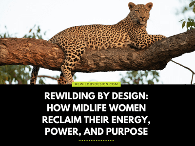 Rewilding by Design: How Midlife Women Reclaim Their Energy, Power, and Purpose