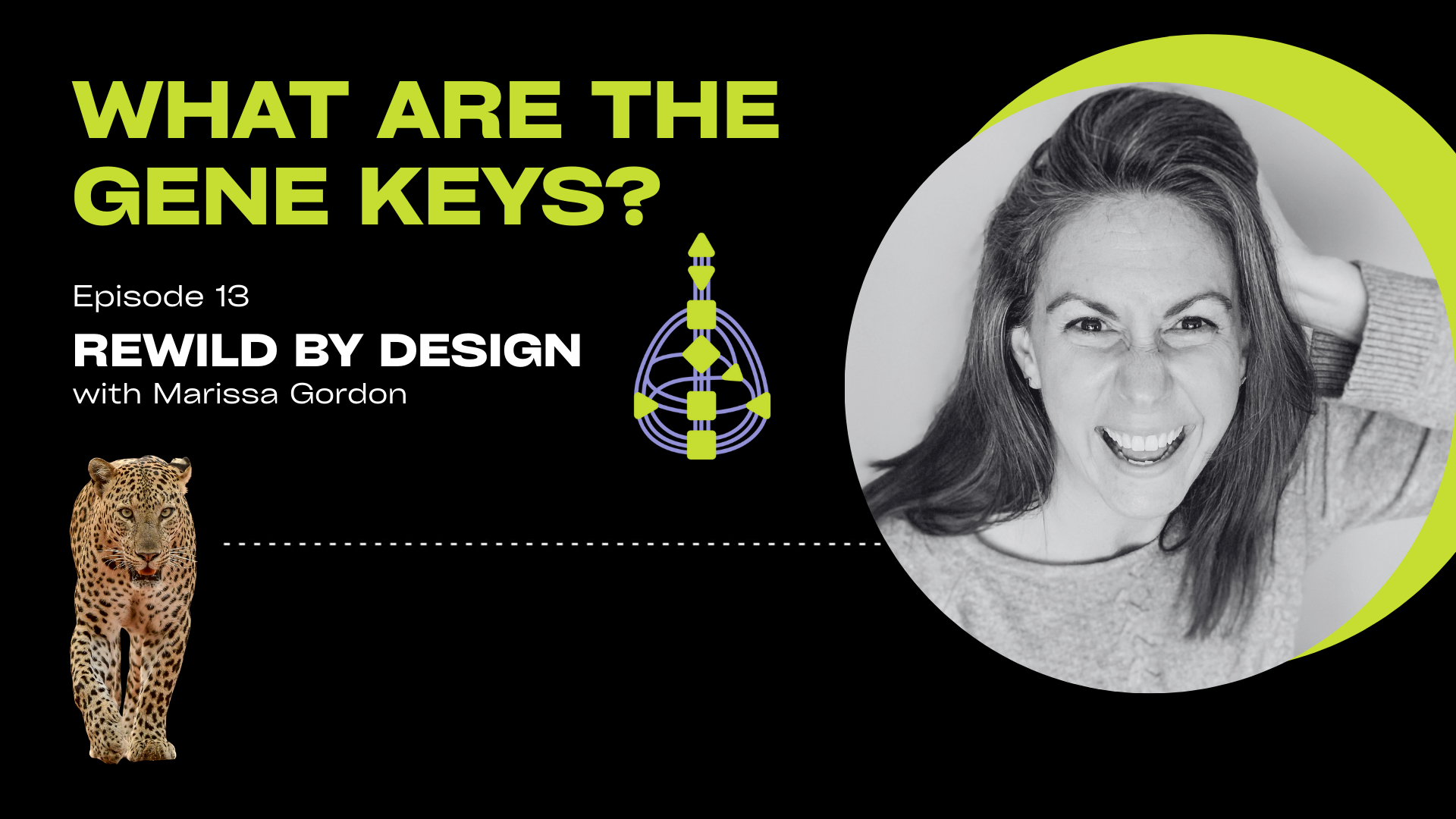 Episode 13: What are the Gene Keys?