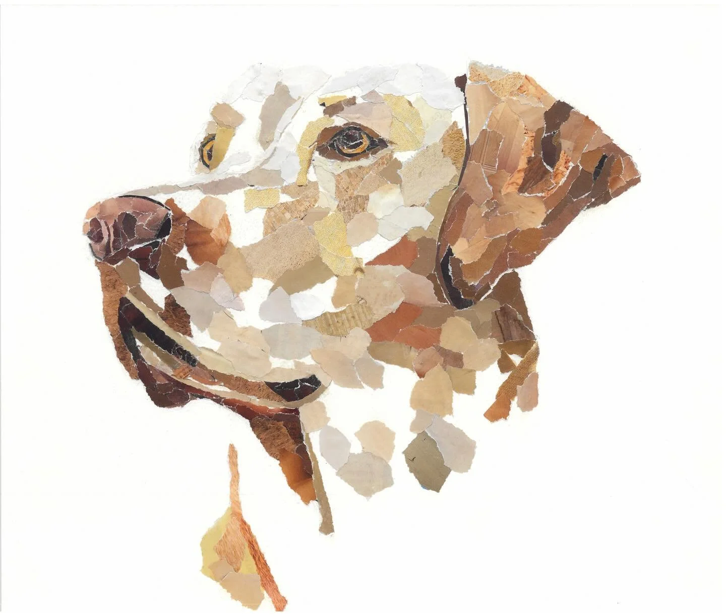 Well here we are&hellip; a new venture.

From doing a couple of pieces over a few months for a Christmas fair (swipe to see the very professional setup&hellip;) to making a website and creating business cards. 

Things to expect: 
🐾Animals made from