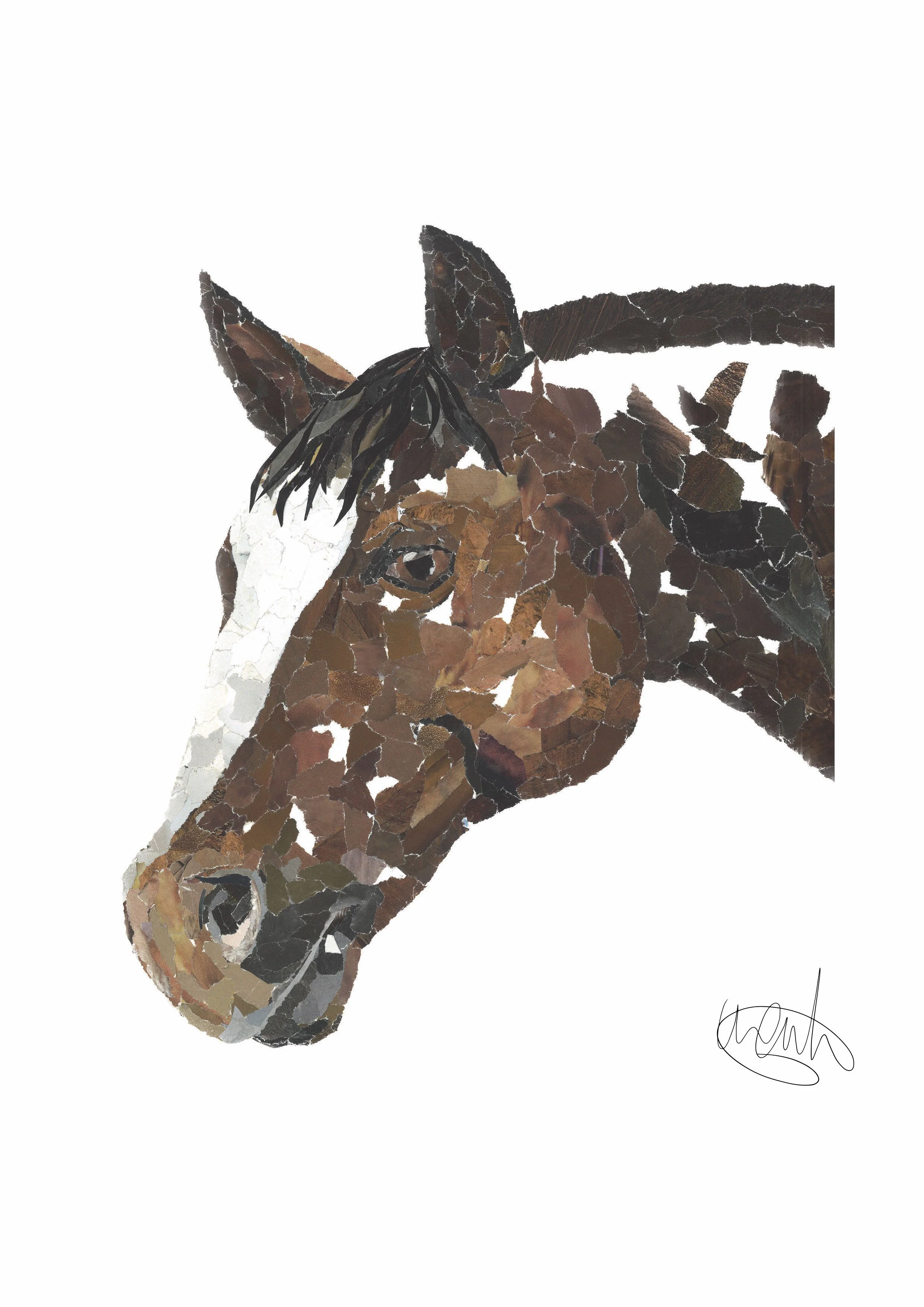 horse.jpg