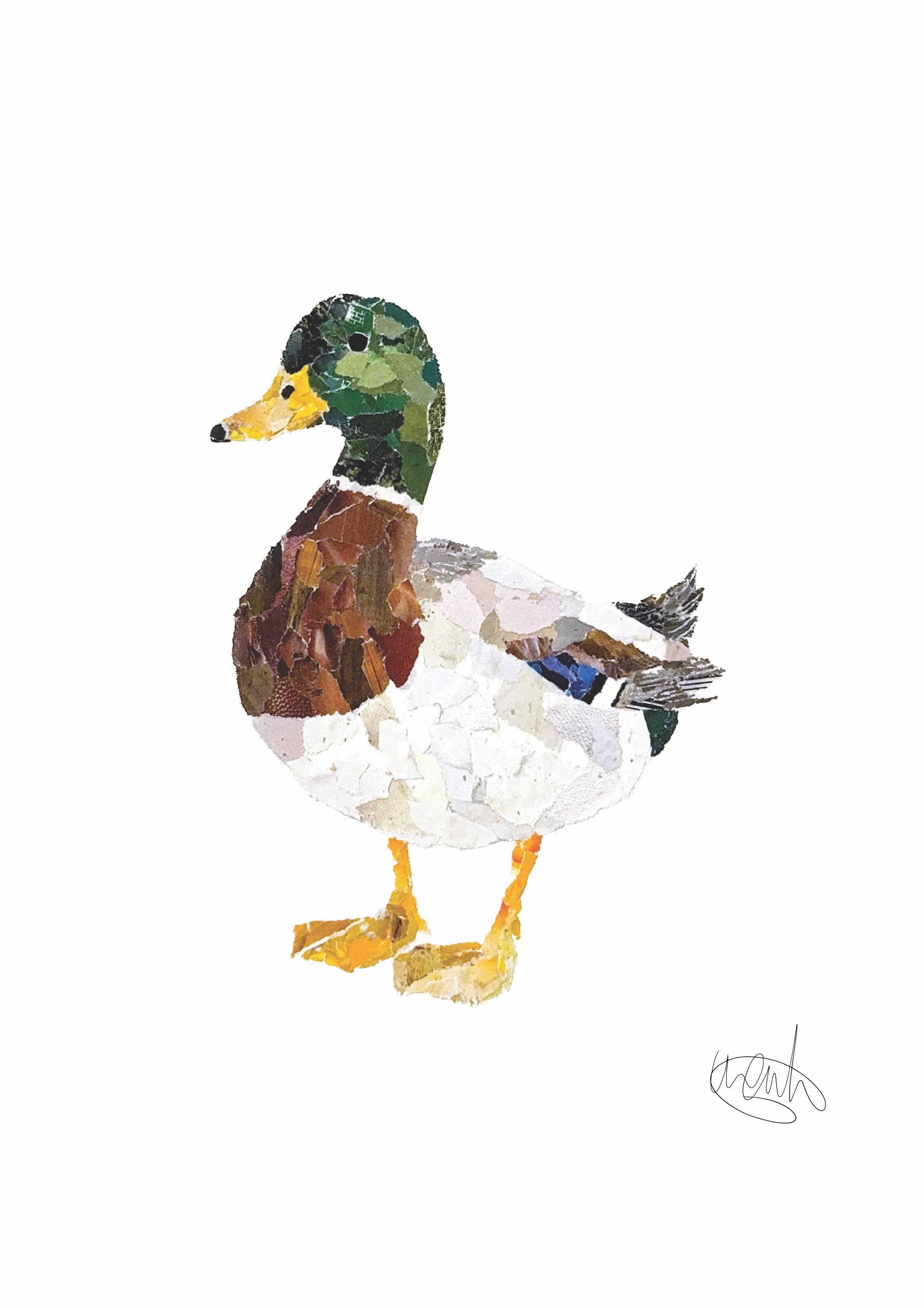 duck.jpg