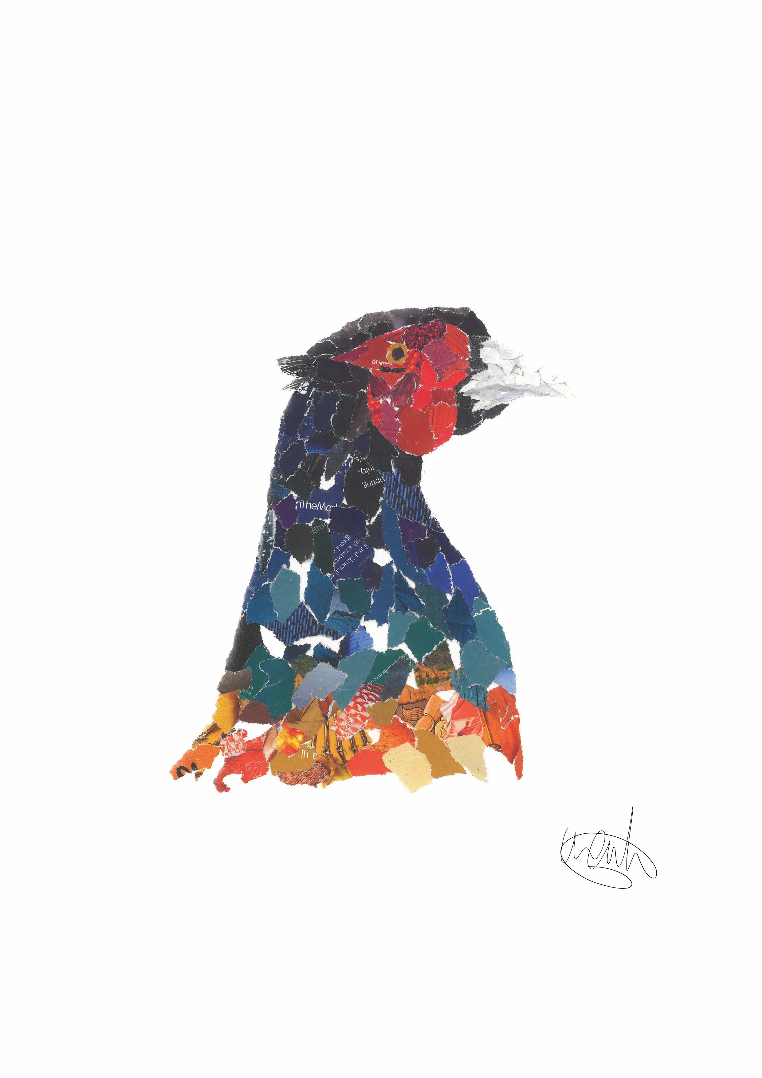 pheasant head.jpg