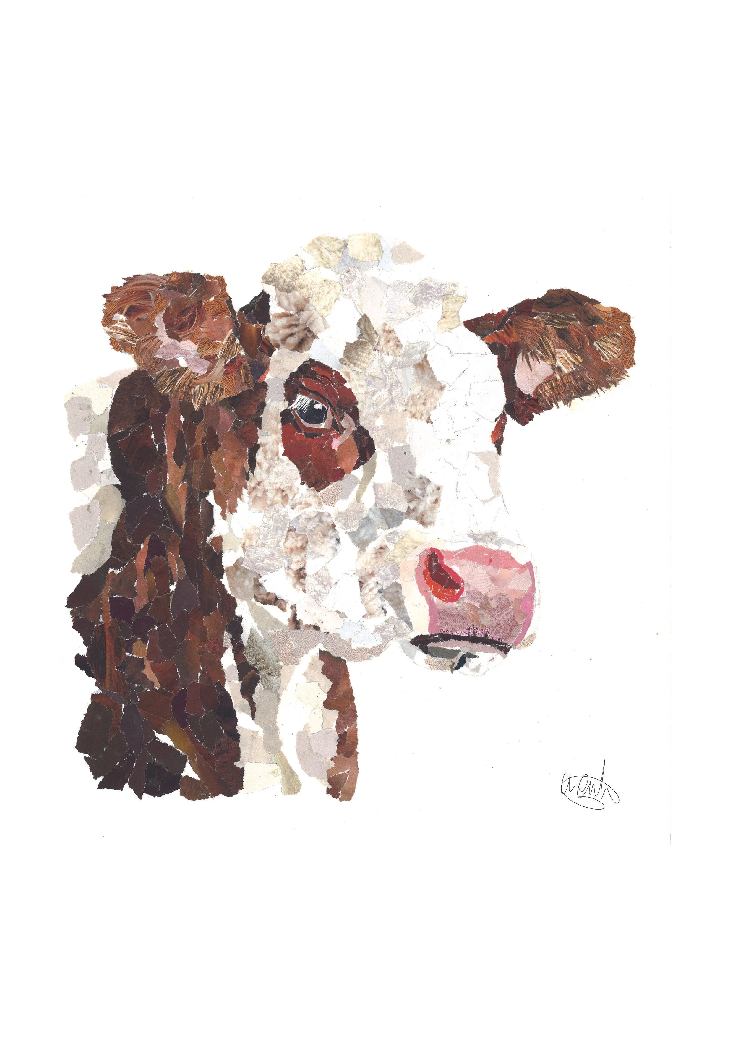 hfd cow.jpg