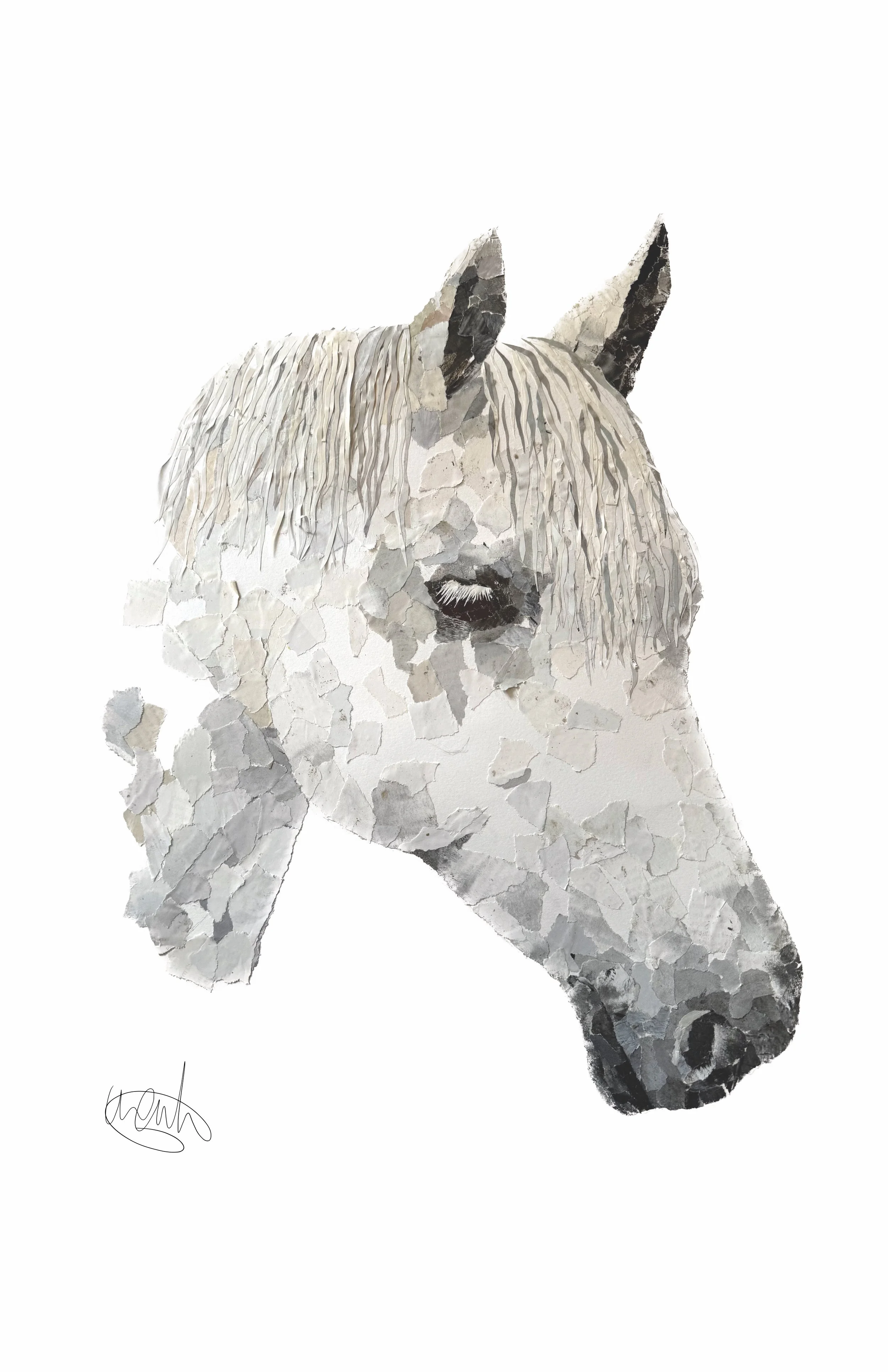 Grey Horse Print