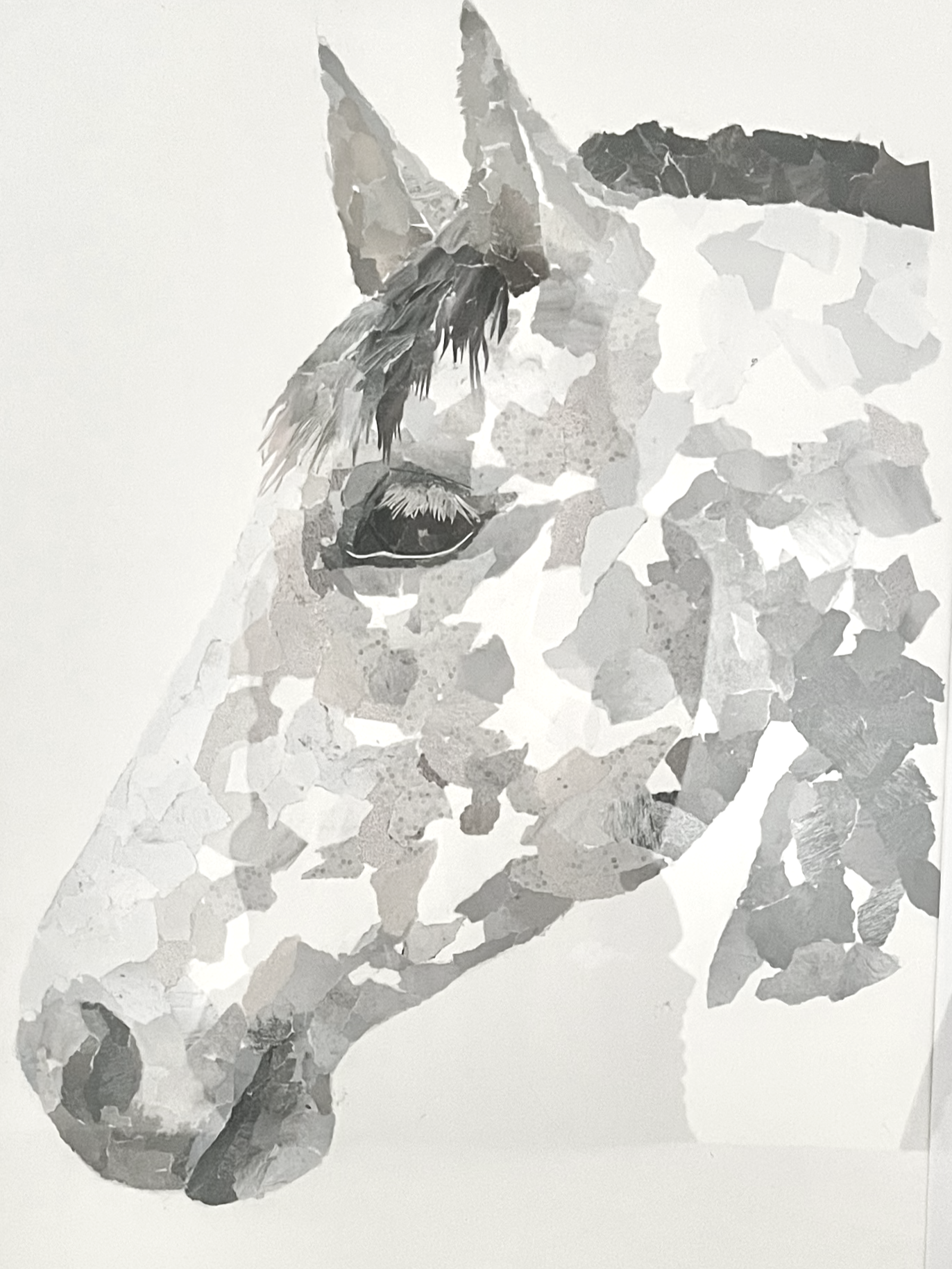 A grayscale collage of a horse's head, created with torn paper pieces, including a close-up of the eye and ears.