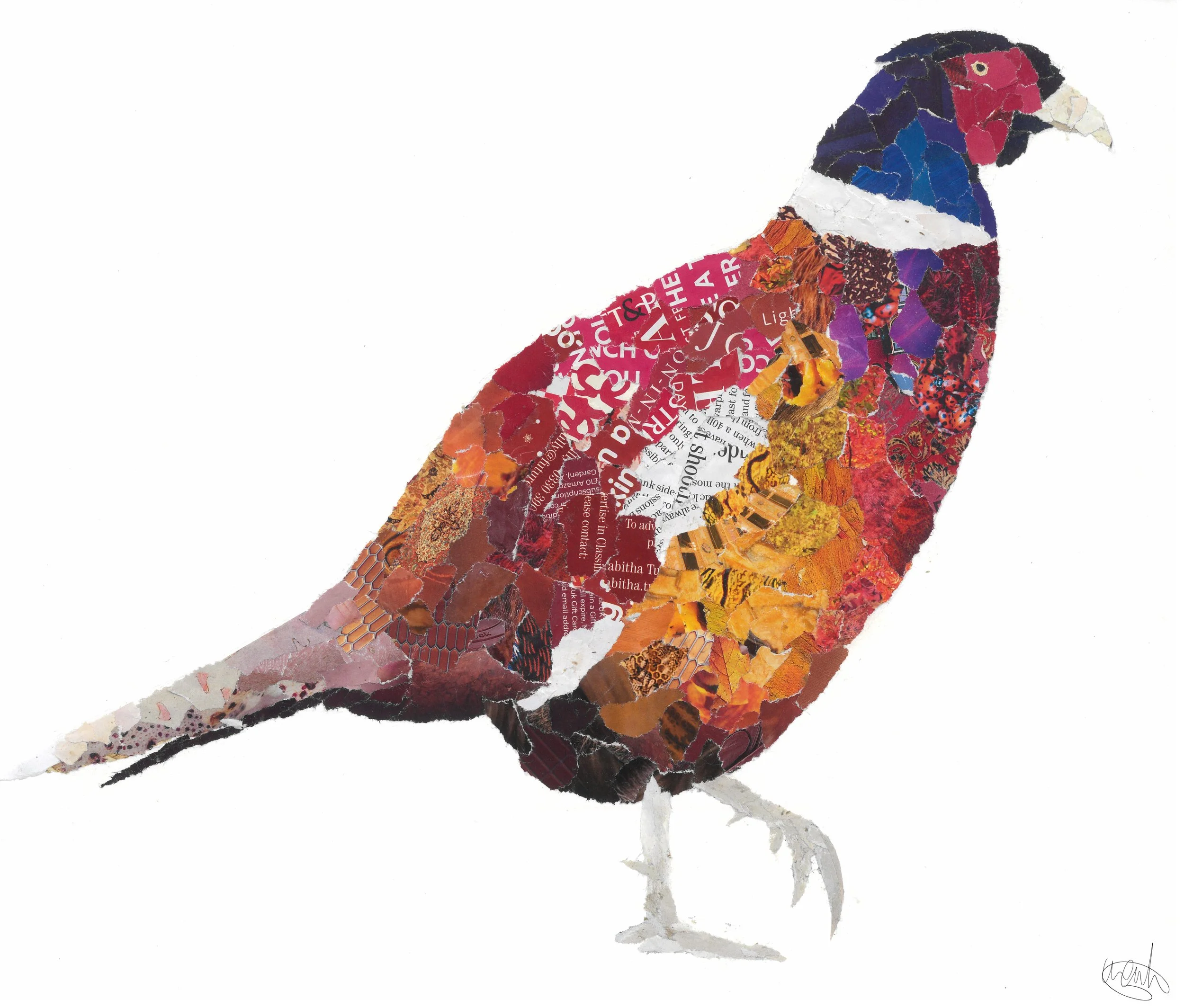 pheasant collage.jpg
