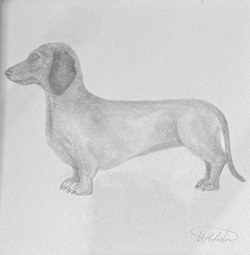 sausage+dog+drawing.jpg