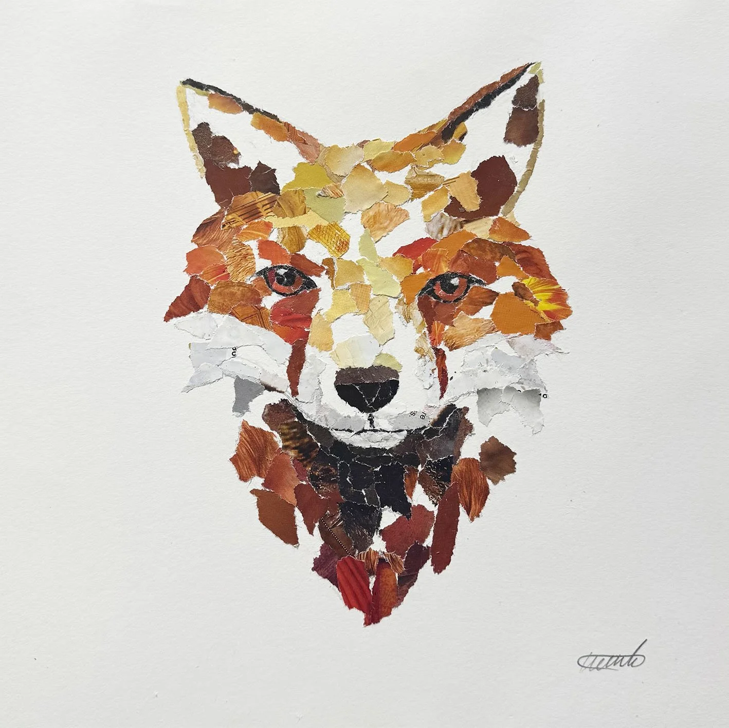 Limited Edition Fox Print