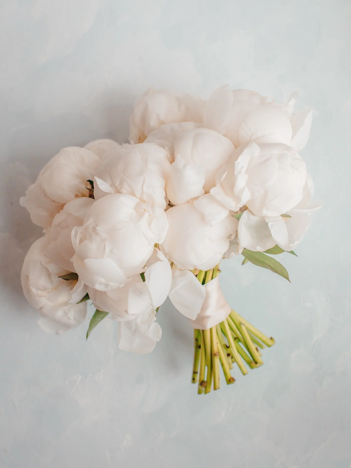 Congrats to Kenia and Scotty! Snow, cold air, and pure joy- last night&rsquo;s wedding had it all! Honored to capture such a beautiful winter celebration.
My fingers were freezing but the photos &hellip; totally worth it! Stay tuned for more photos f