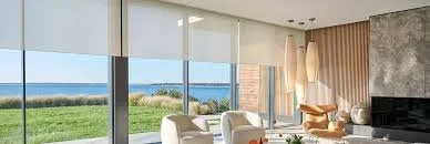 Lutron shade Warwick Audio Visual sea view sunshine.jpeg