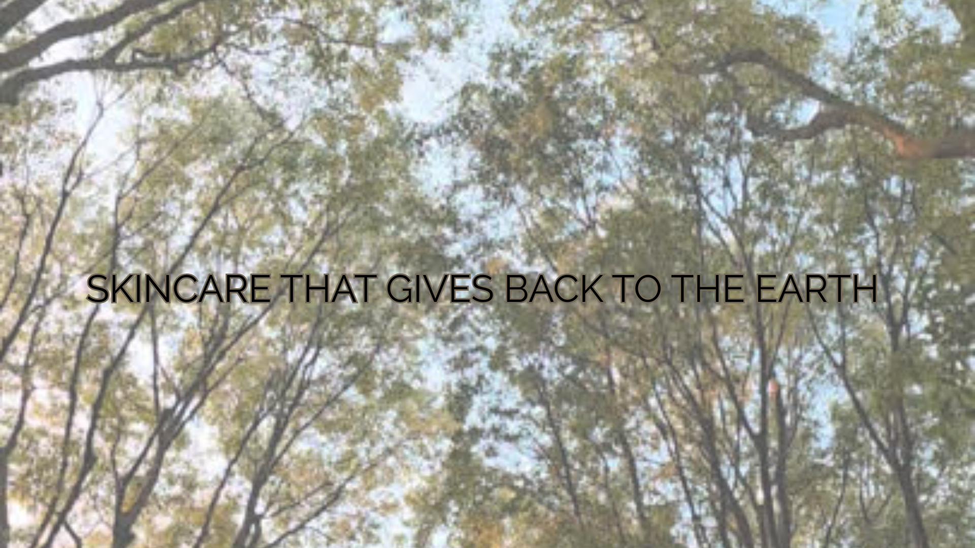 SKINCARE THAT GIVES BACK TO THE EARTH.png