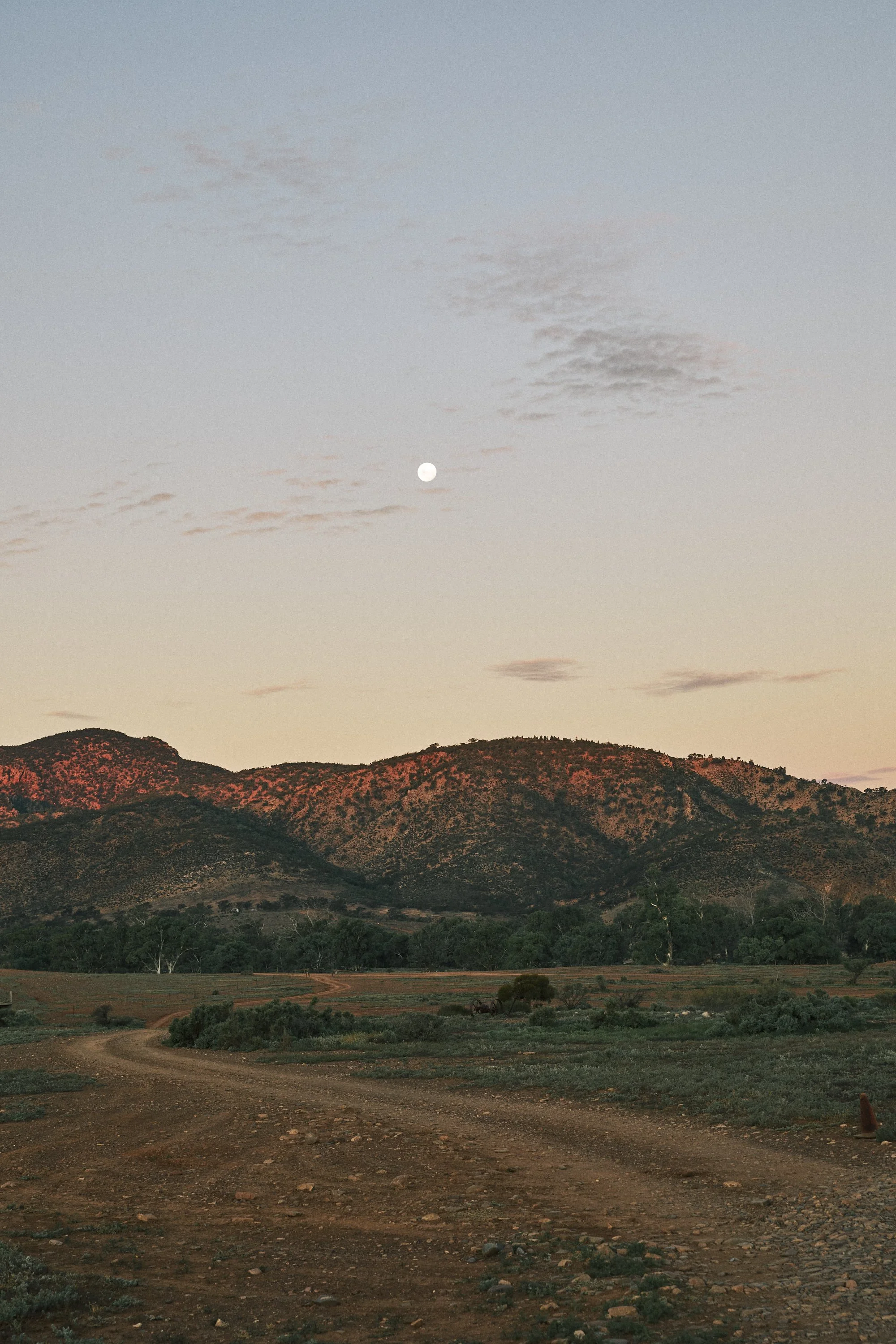 Dirt road winding through a landscape with hills and trees under a sky with clouds and a visible moon.