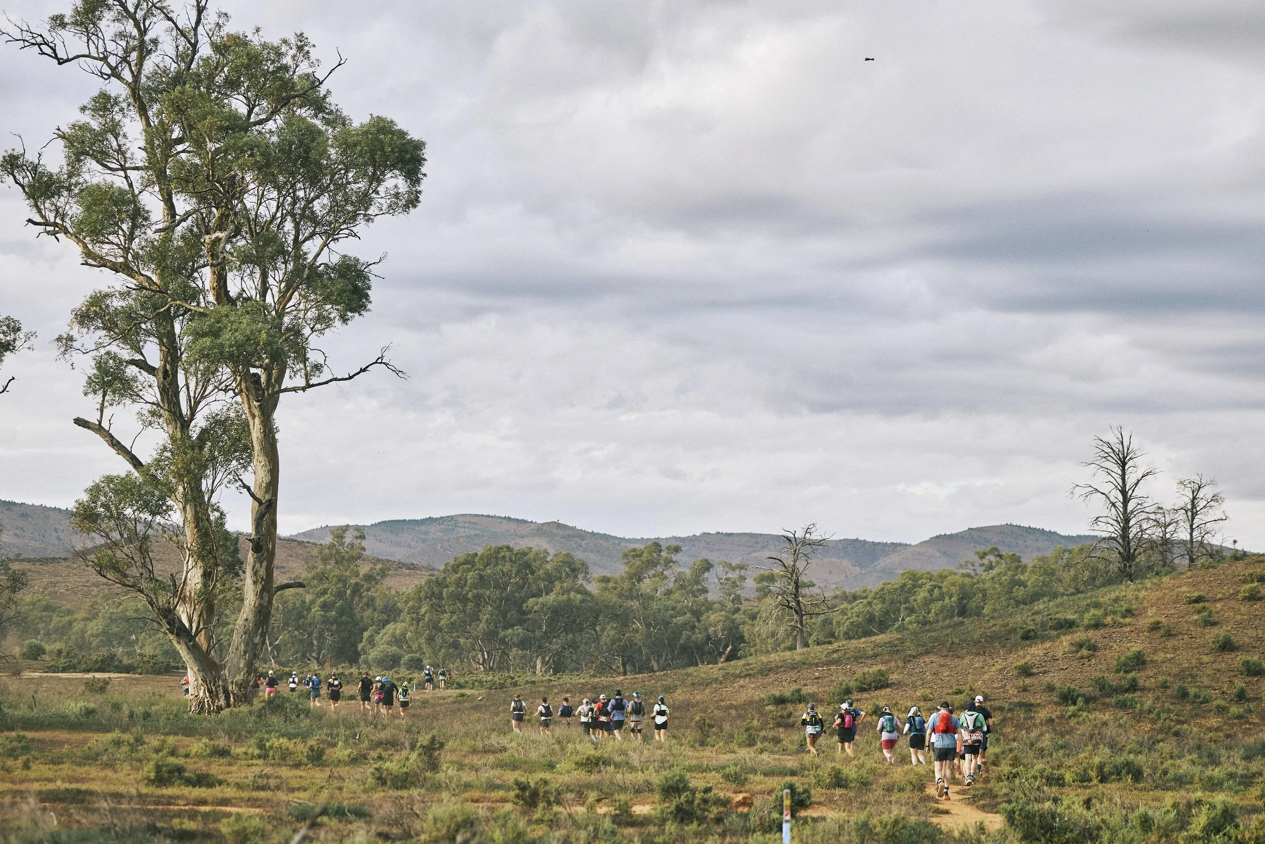 A group of hikers walking along a trail in a rural landscape with trees and hills under a cloudy sky.