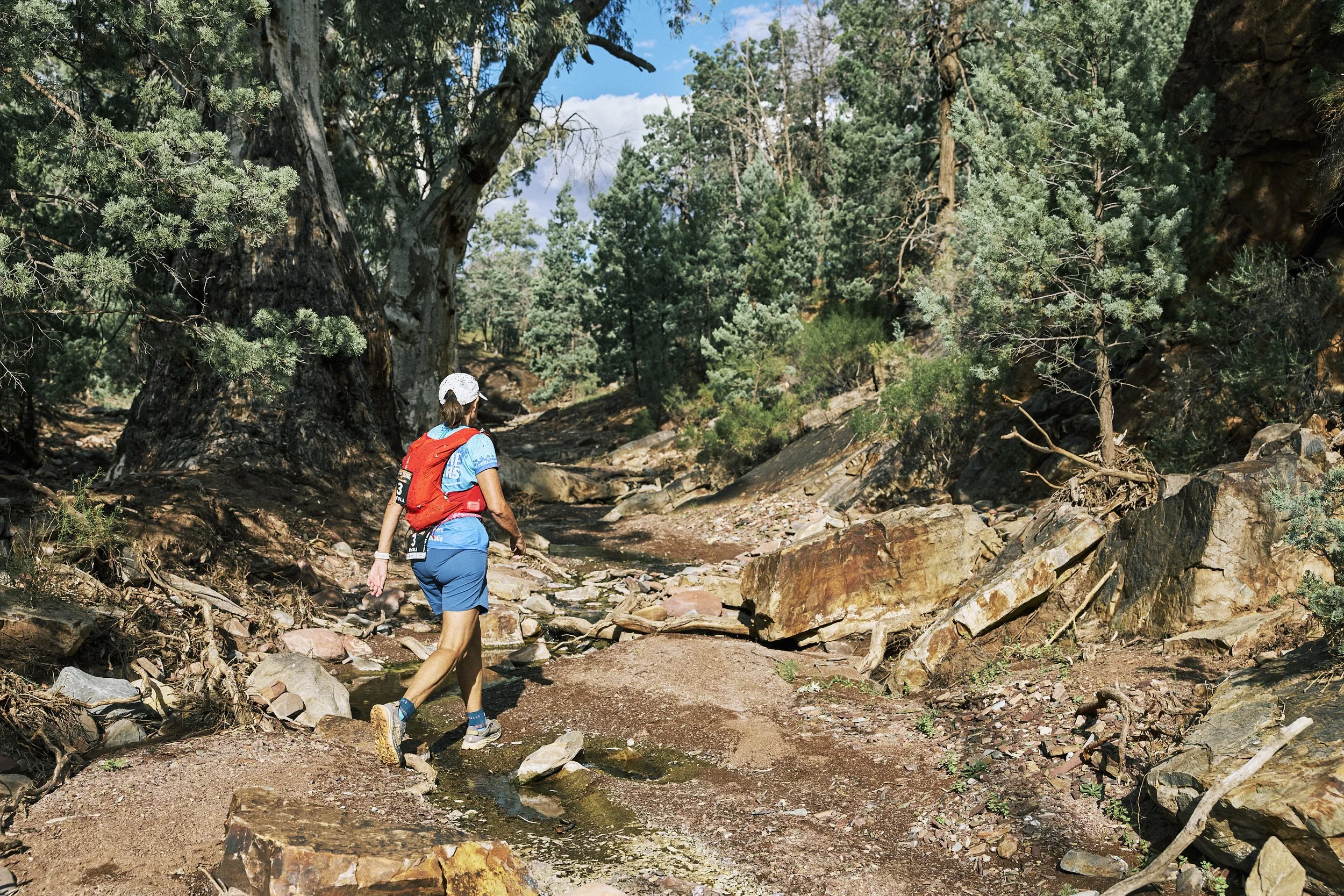 A person hiking on a rocky trail through a forest of tall pine trees with a blue sky overhead.