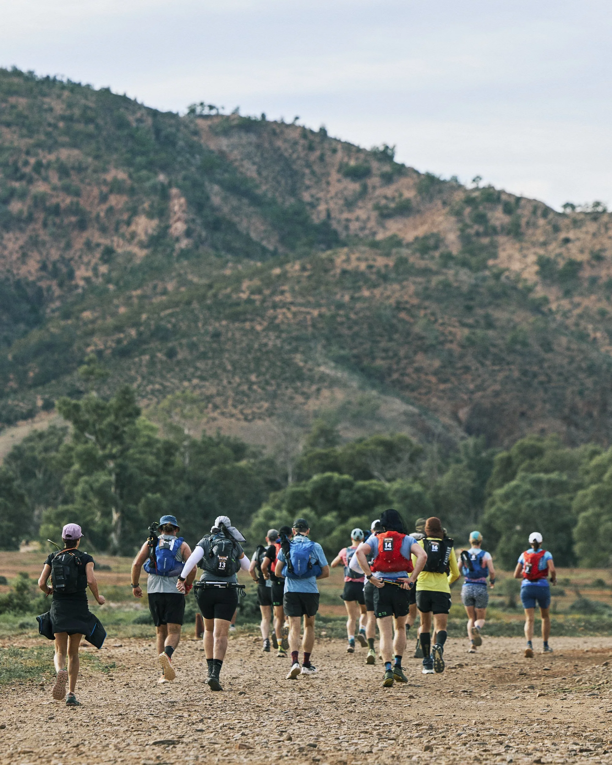 A group of hikers walking on a dirt trail through a natural landscape with trees and mountains in the background.