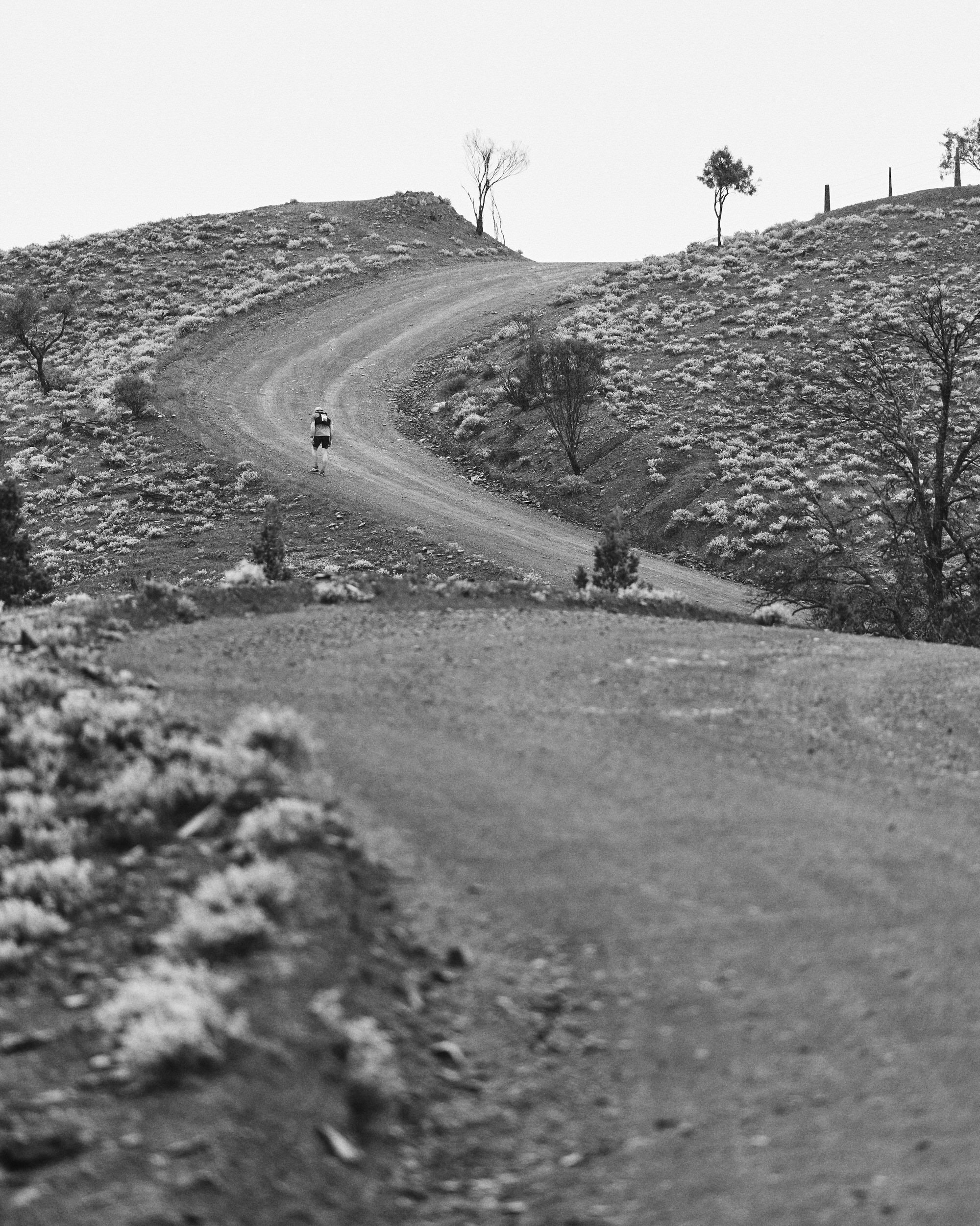 A person with a backpack walking along a dirt road on a hillside with sparse vegetation and trees, in black and white.