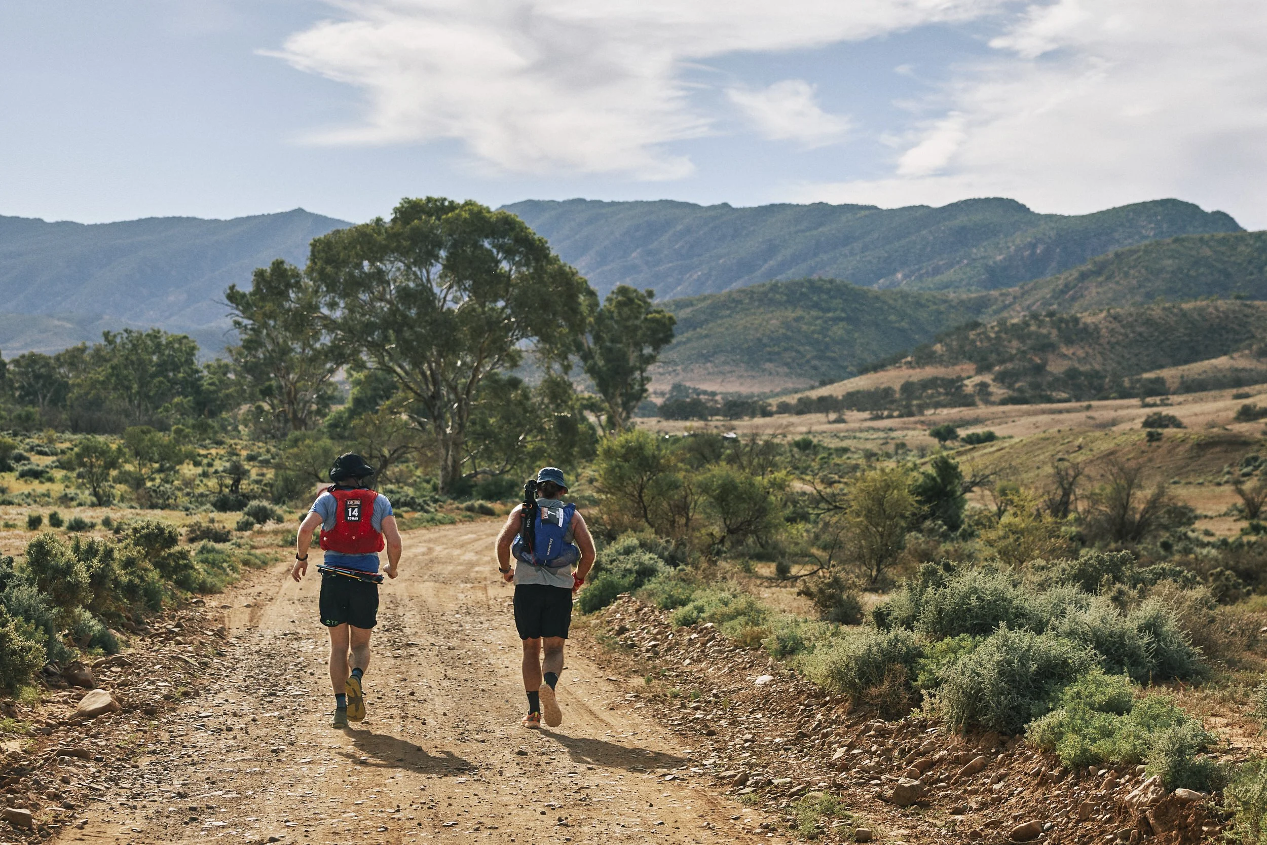 Two hikers walking on a dirt trail in a scenic mountainous landscape, with green bushes and trees, and a backdrop of hills and partly cloudy sky.