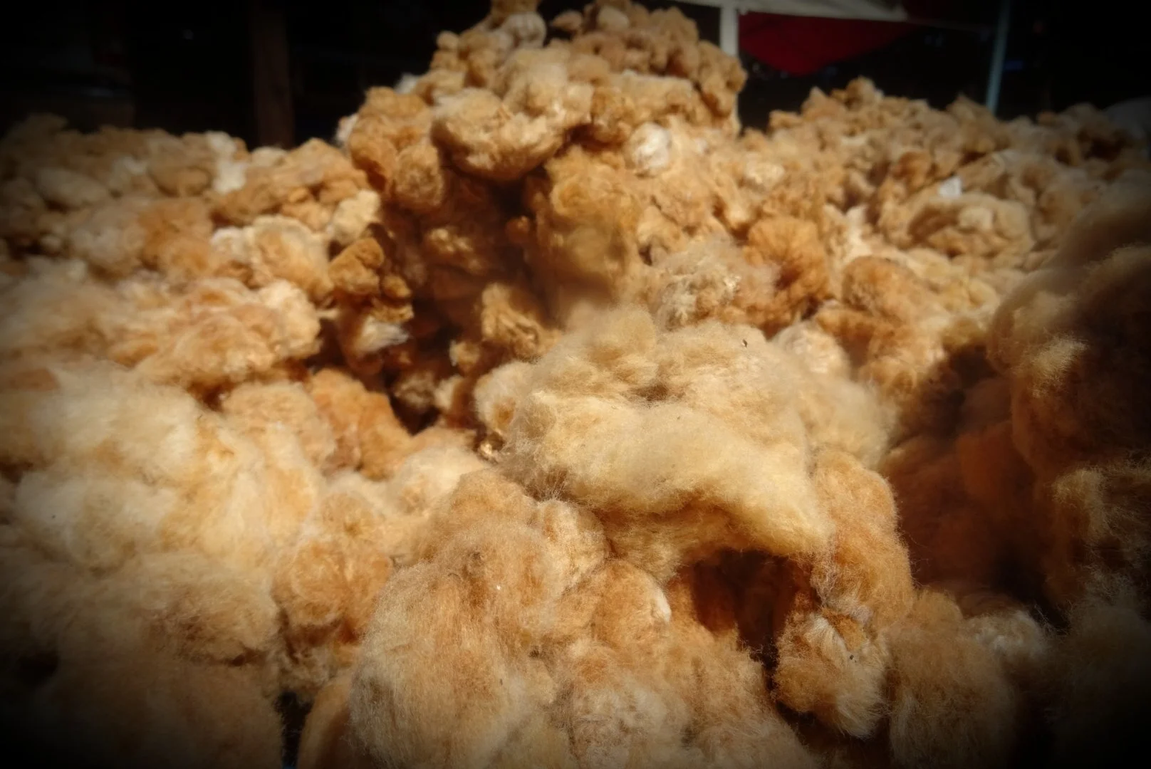 Tas de coton naturel en cours de filage ou de rangement.