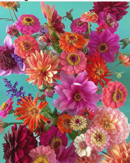 wards-farm-flowers-floristry-devon-colour.PNG