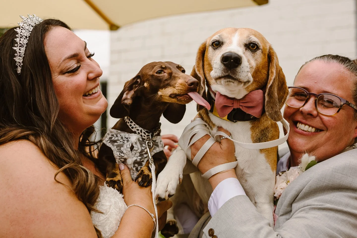 Dogs At Weddings: They’re Family, Not A Trend
