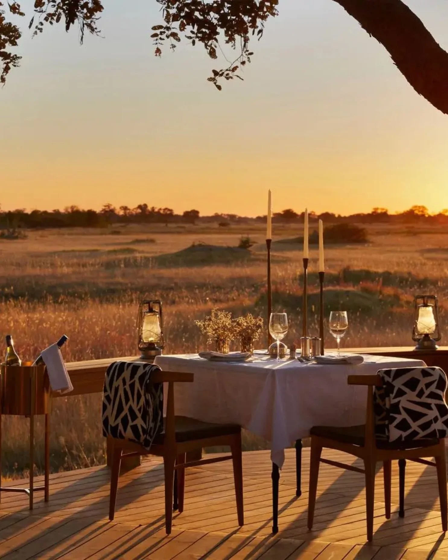 A honeymoon safari dinner somewhere in Africa. There is a table and chairs with champagne on ice.