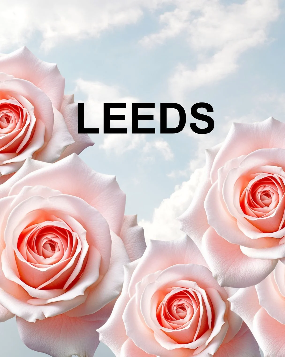 Some pink wedding roses a cloudy sky