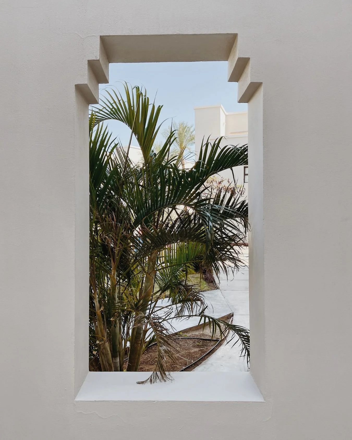A shaped window at a destination wedding venue with tropical plants.