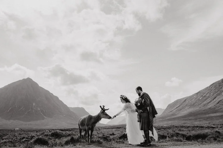 A moment that feels almost other-worldly, captured with F.D Young Photography’s signature sense of atmosphere. Against a dramatic Highland landscape, the couple pause to greet a curious deer—hands outstretched, smiles soft, completely unhurried. The 