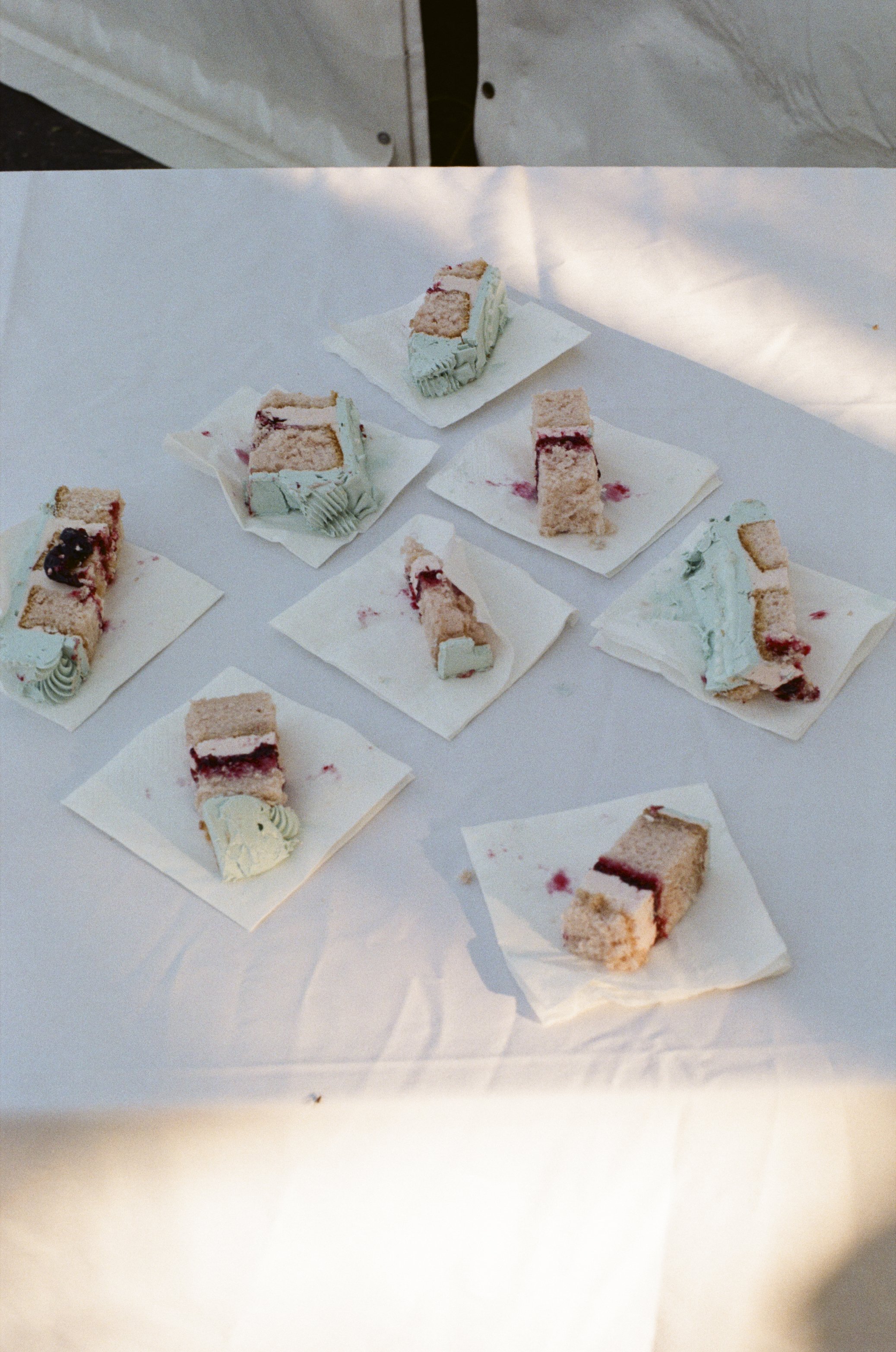 Slices of pastel-iced wedding cake with berry filling are laid out on napkins in soft natural light, captured by Roz Pike Photography. The candid detail shot highlights the relaxed homemade feel and charming styling of a modern outdoor wedding celebr