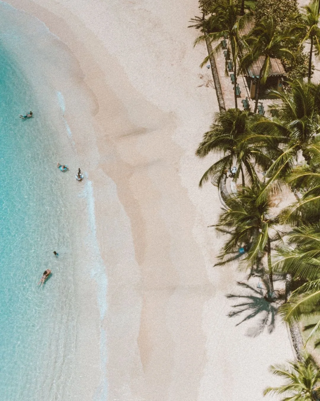 A tropical beach with clear blue sea and palm trees.