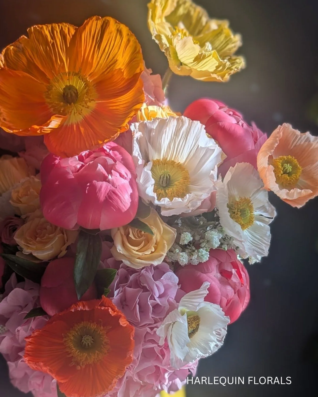 A colourful bridal bouquet by Harlequin Florals