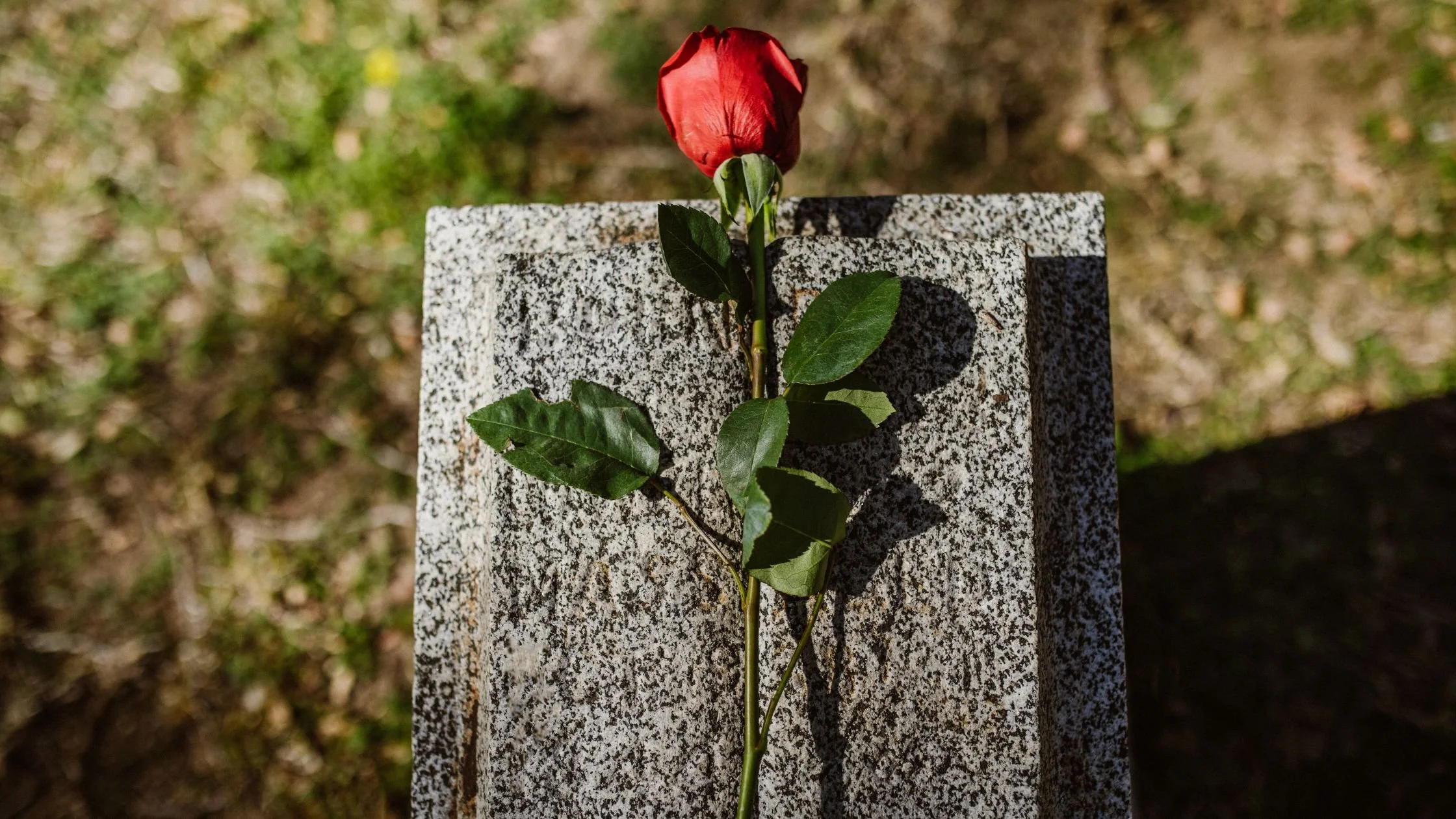 If Instagram Died Tomorrow, Would Your Wedding Business Survive?