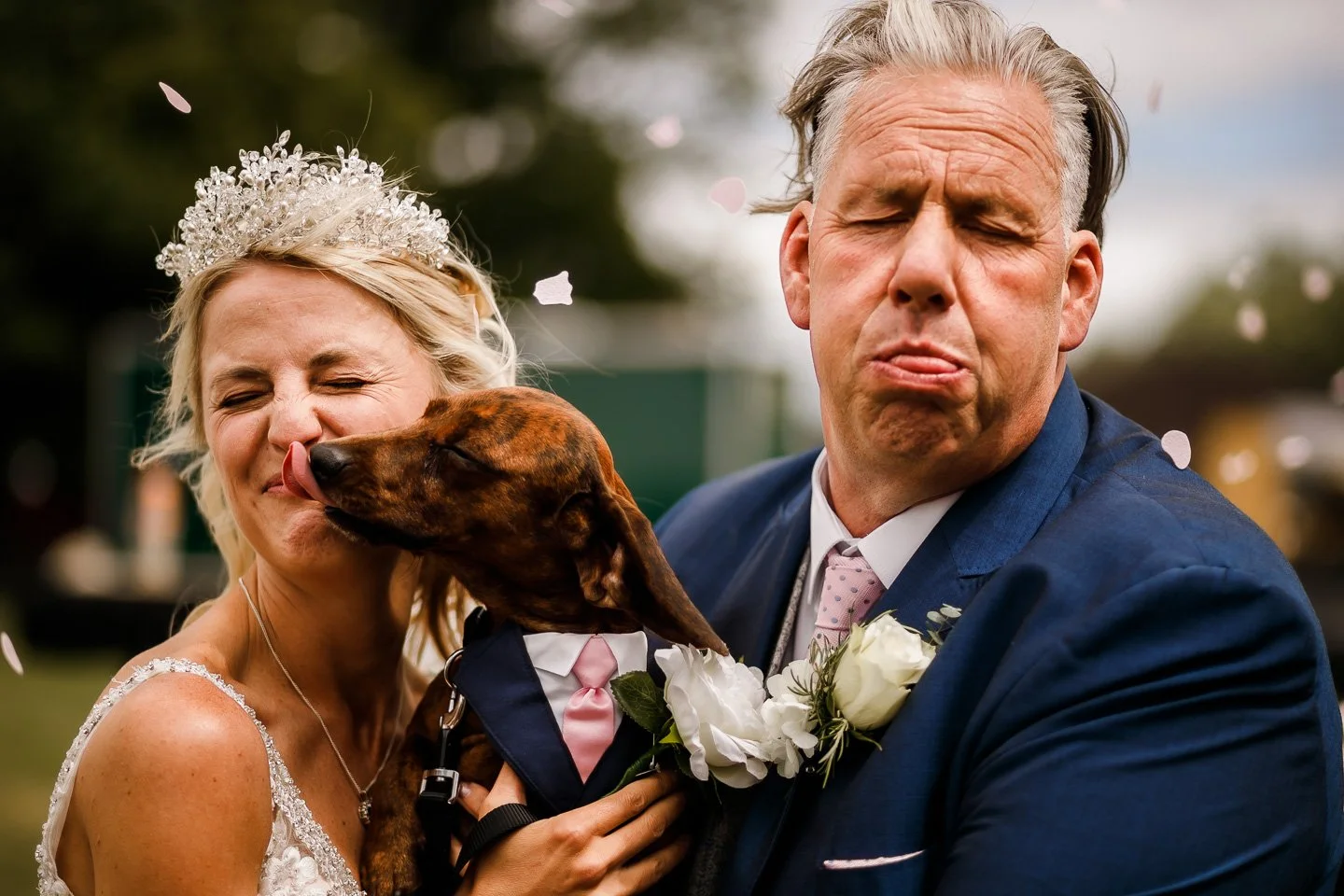 Fun candid wedding photo of a bride and groom laughing as their dachshund puppy licks the bride’s face, captured outdoors with confetti falling. Natural, documentary-style wedding photography at its best, showing joyful, spontaneous moments.