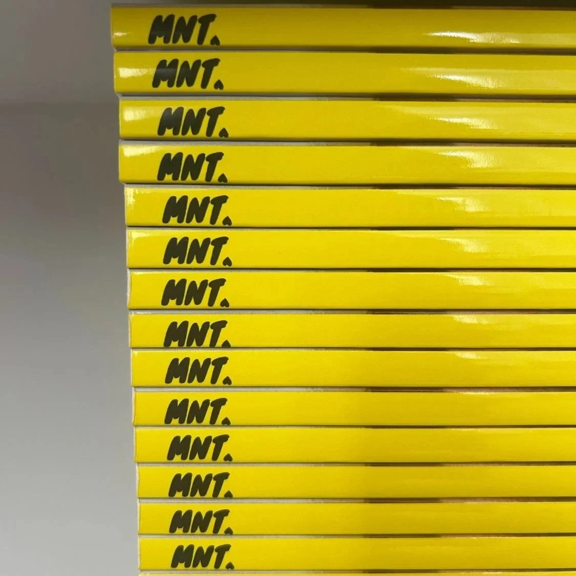 mnt-magazine-issue-2-yellow-spine.jpg