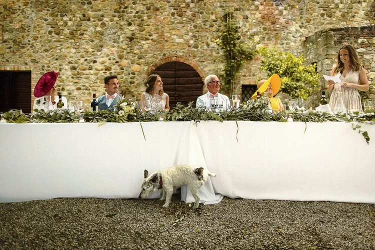 A wide, sunlit outdoor wedding reception scene set against an old stone wall. A long white top table stretches across the frame, draped in greenery and wine glasses. Several people sit behind it, dressed in summery formal wear and smiling toward a wo