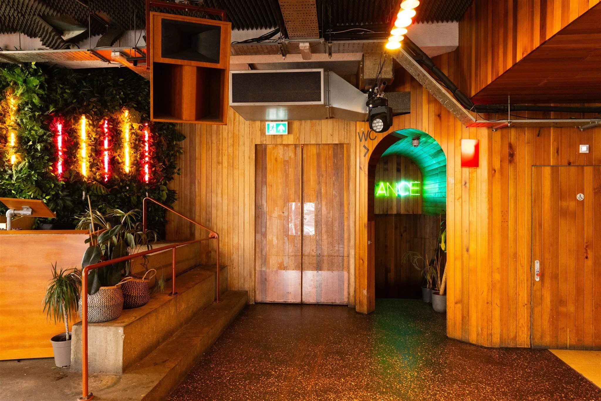 Brighton wedding venue Pier Court featuring a spacious modern-industrial reception room with warm wooden paneling, a contemporary tiled bar, hanging greenery, ambient lighting, and a flexible open-plan layout perfect for wedding ceremonies, reception