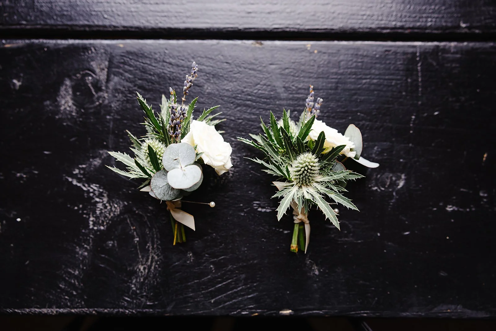 Two Scottish Thistles.