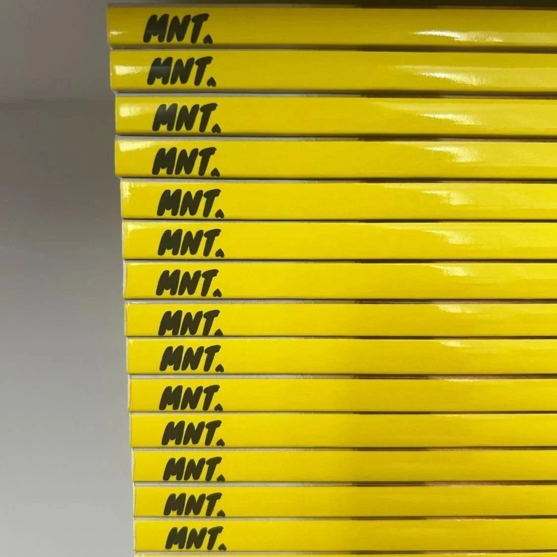 mnt-magazine-issue-2-yellow-spine.jpg