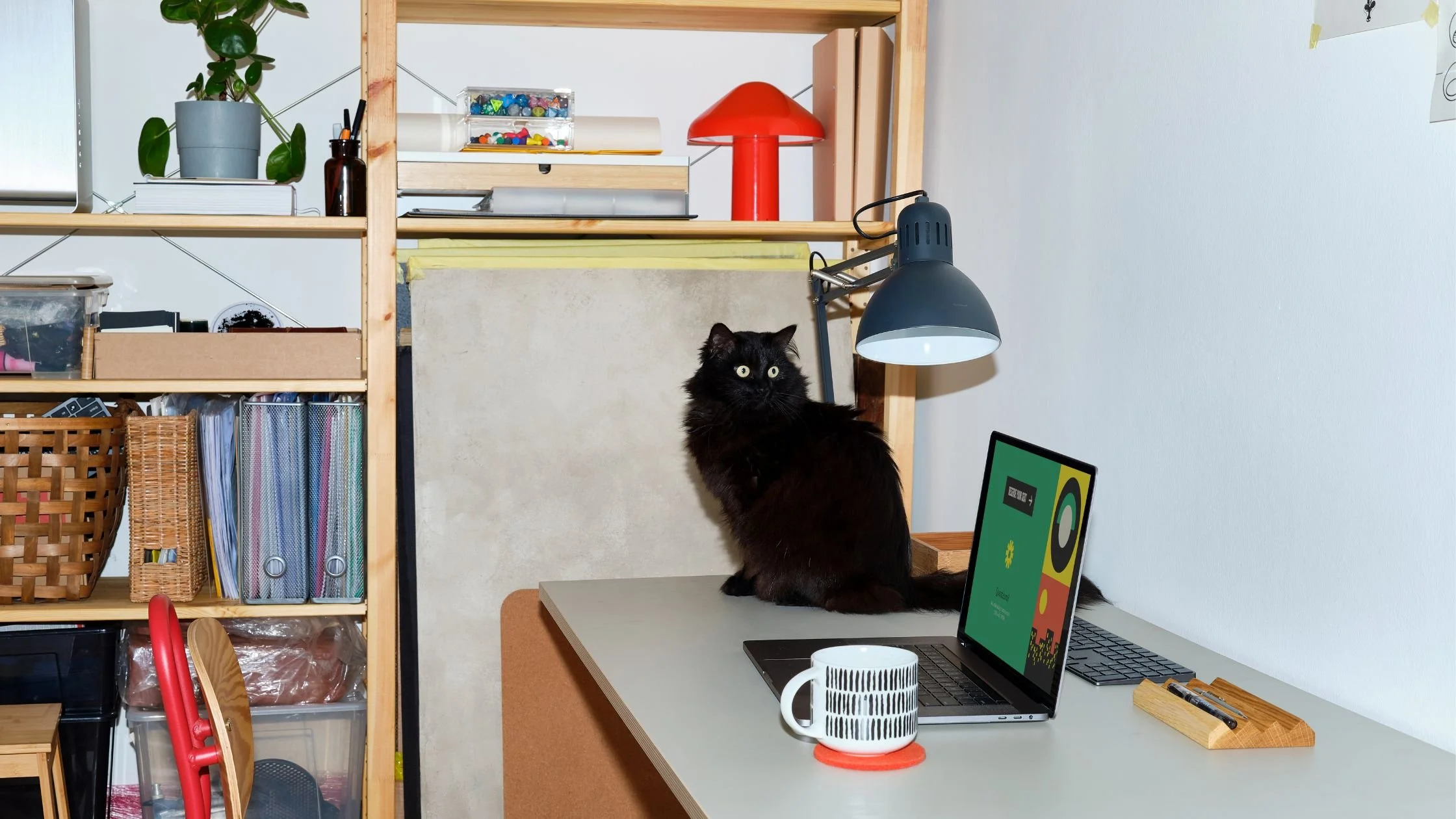 A black cat sitting on a desk in a wedding supplier's home office. There is a red lamp on the shelf and a laptop and a cup of tea on the desk.
