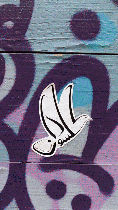 Animación Paloma v02 aleatorio 039 llq_Trim.gif