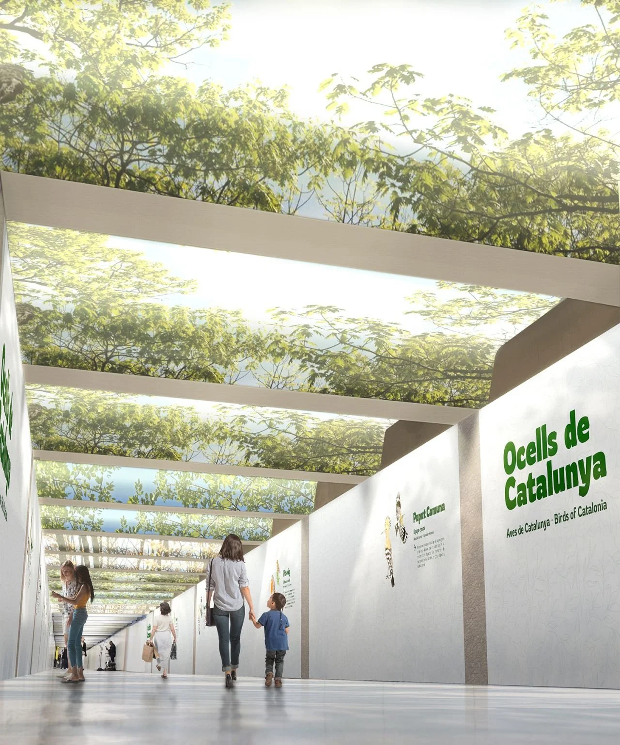 Concurso Paseo de Gracia 1753865303116.jpg