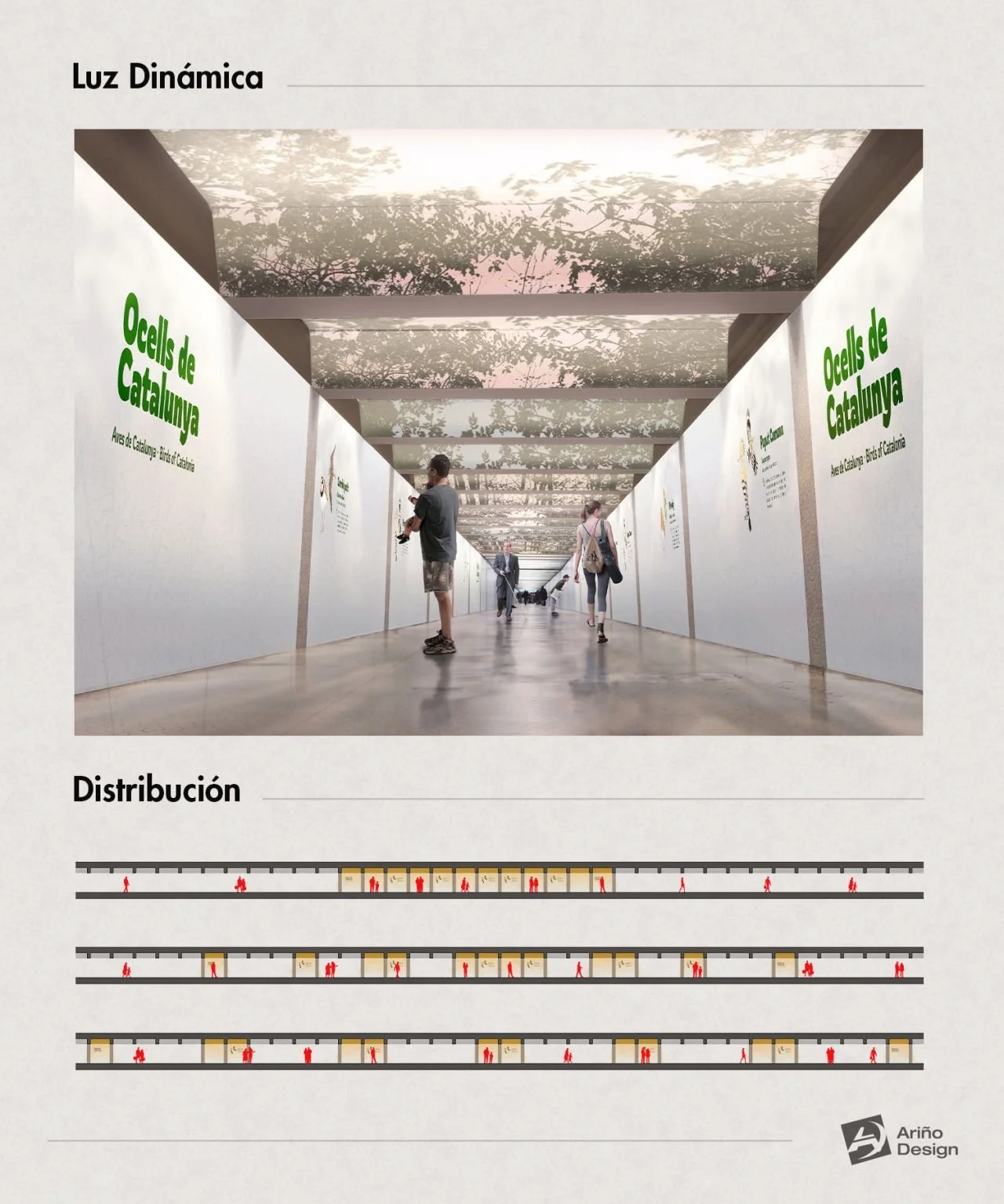 Concurso Paseo de Gracia 1753865302327.jpg