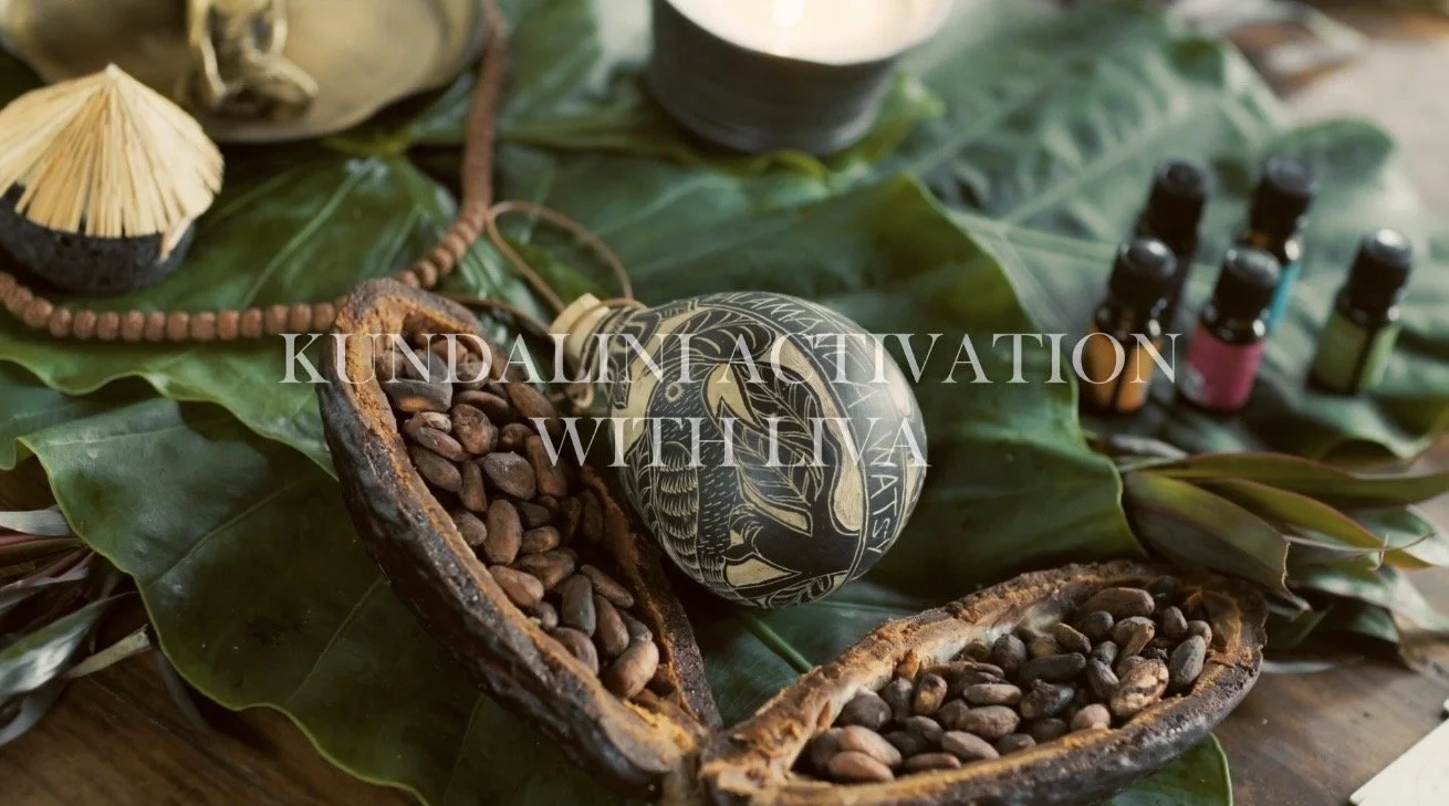 A decorative arrangement with cocoa beans in a split shell, essential oil bottles, and natural ingredients on large green leaves.