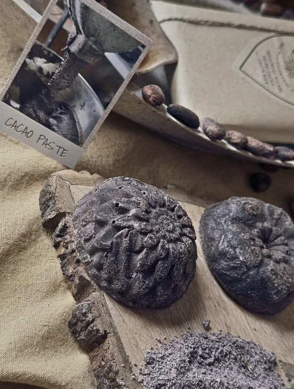 Close-up of two fossilized ammonite shells on a wooden surface, with a small piece of bark and a pile of cocoa powder nearby. In the background, there is a vintage camera and a plate with some cocoa beans, and a photograph showing a hand holding a spoon with cacao paste labeled 'CACAO PASTE'.