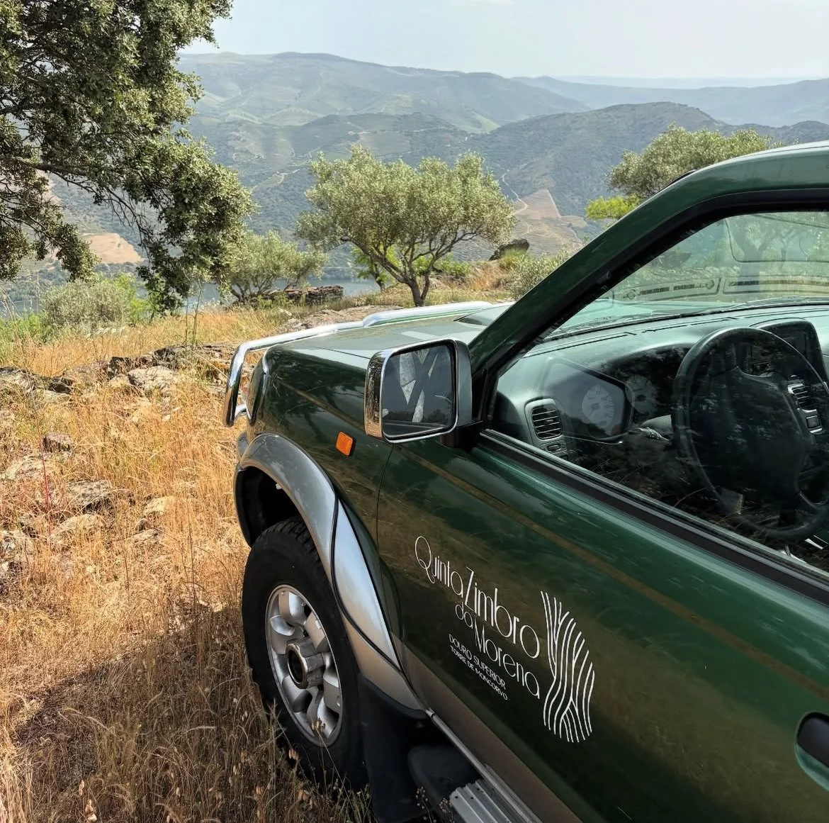 Veículo verde off-road com logo do Quinta Zimbro da Moreno na porta, estacionado em uma área de olival de sequeira, com o rio Douro e montanhas ao longe.