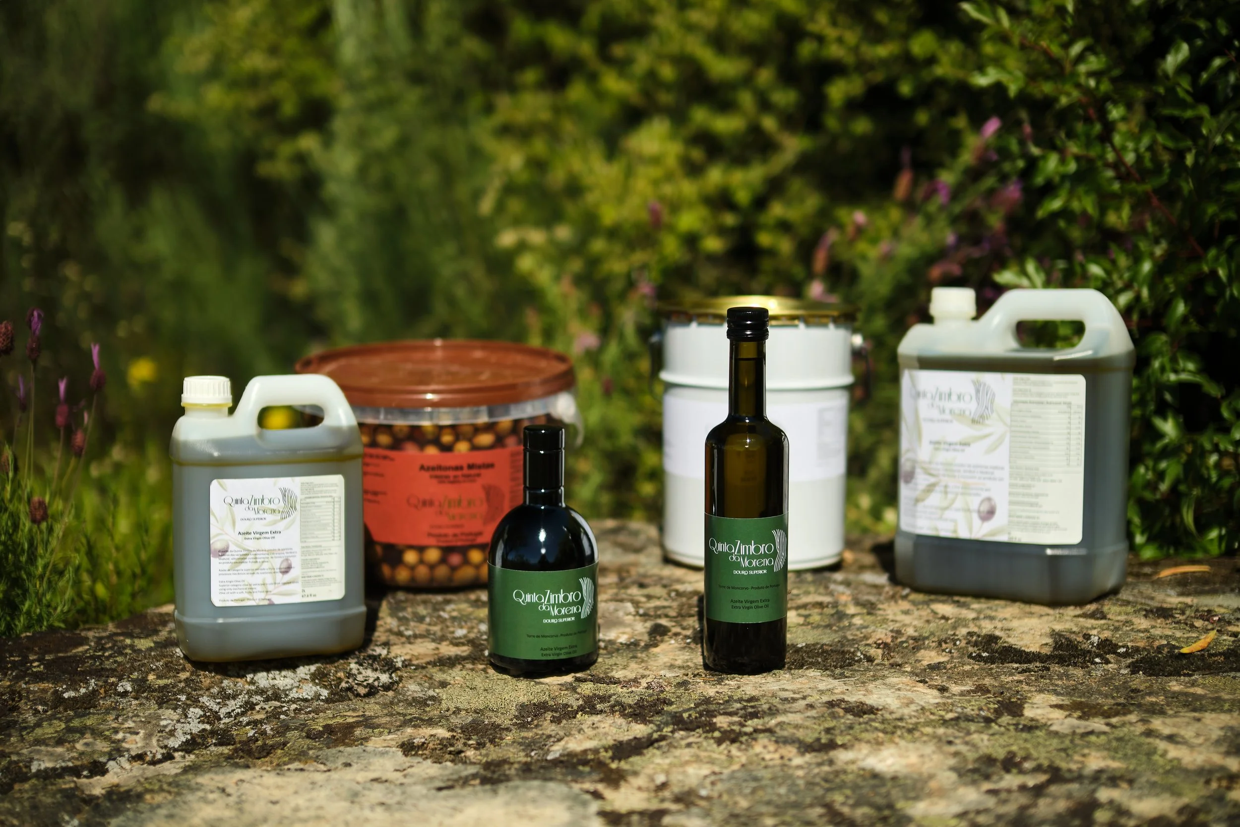 Produtos de azeite de oliveira, incluindo uma garrafa, uma embalagem de vidro, uma lata, uma garrafa, e duas jerricanes, colocados sobre uma pedra ao ar livre com vegetação ao fundo.