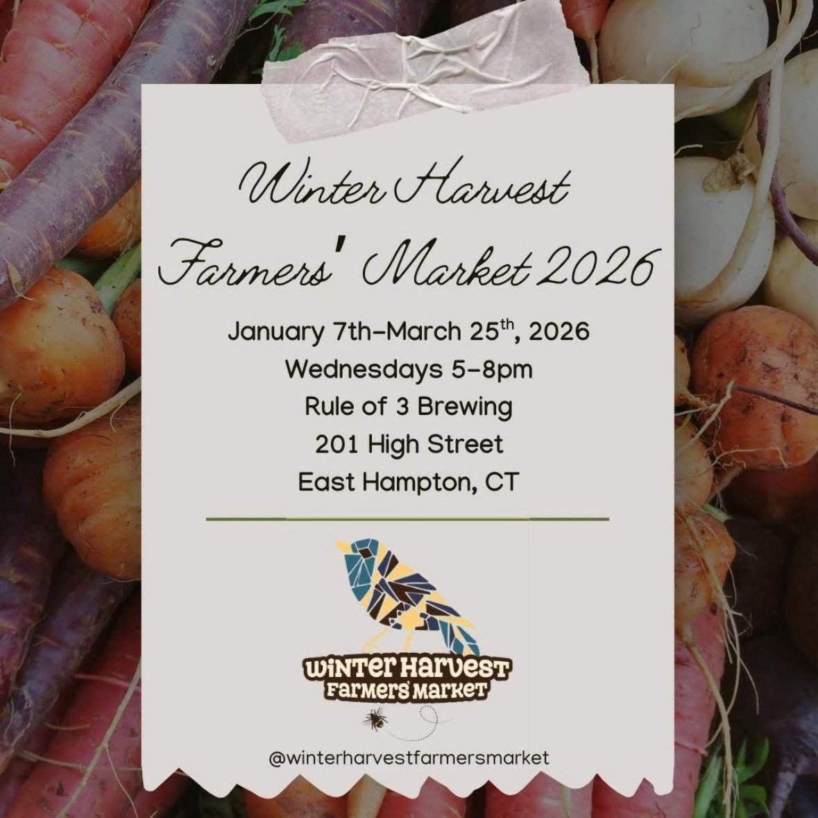 We are back at it next week, starting with the Winter Harvest Market at Rule of 3 Brewing in East Hampton, from 5-8pm! 

Looking forward to seeing you all there for all your mercury retrograde needs 🤪