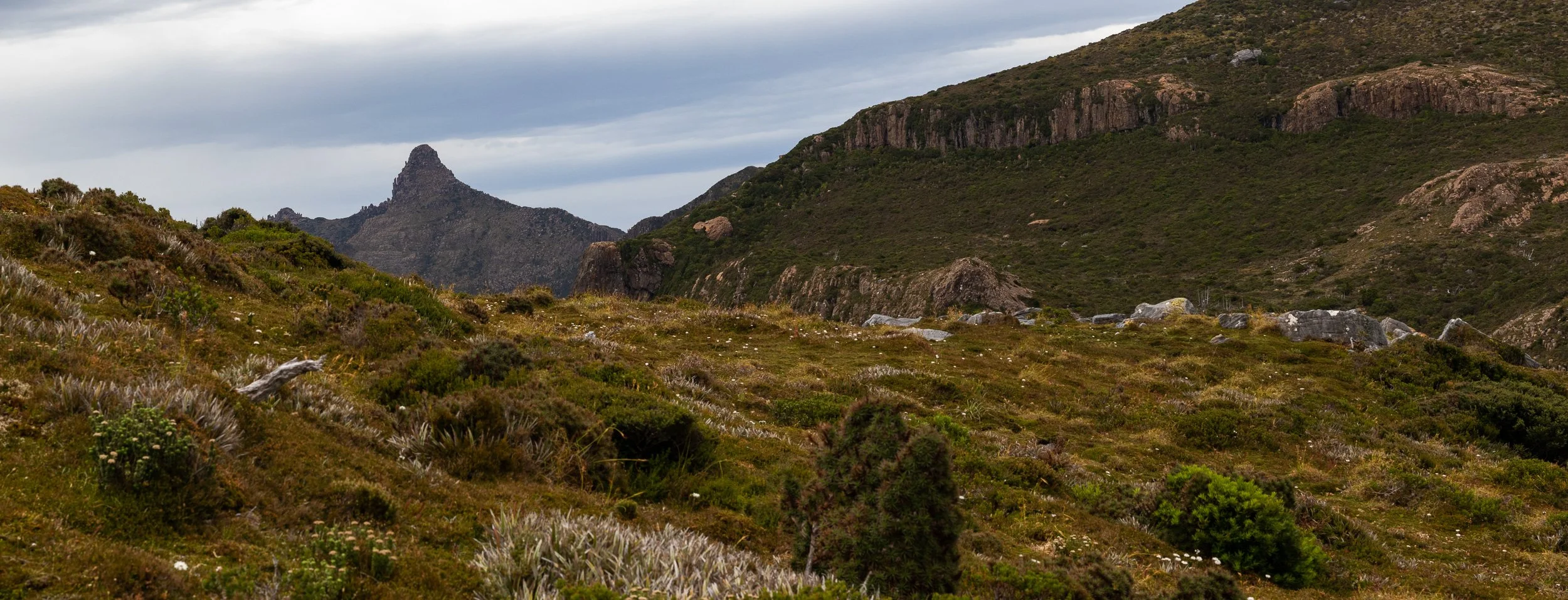 Southern Ranges, Tasmania.